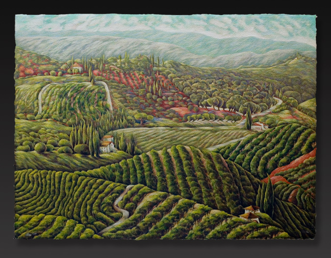 Colorino Vineyard
