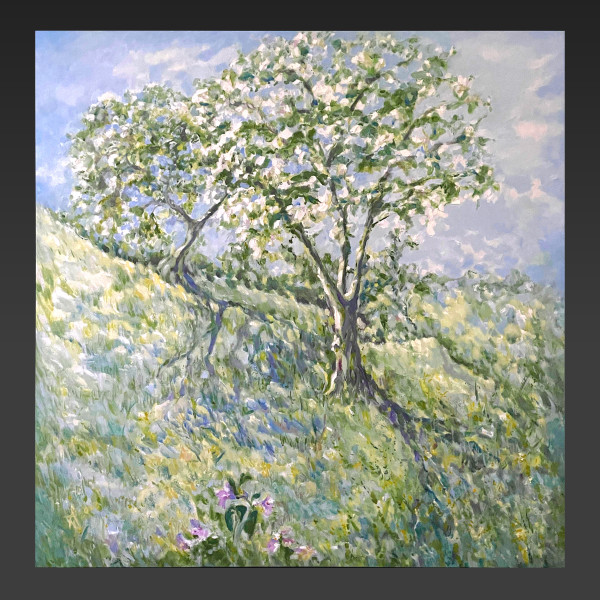 Trees in Bloom