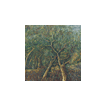 Mastronardi Oil on Canvas Image 13