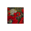 Mastronardi Wax-Pencil Image 03